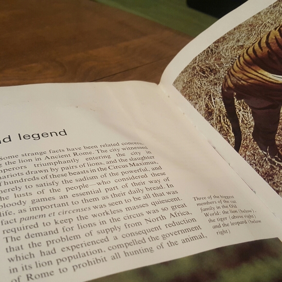 1975 FIRST PRINTING THE WORLD OF NATURE BIG CATS O - Picture 6 of 12